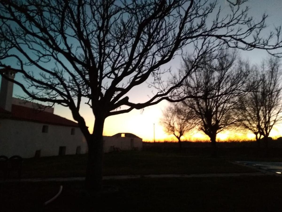Casa Rural La Galana Albacete Chinchilla de Monte Aragón Eksteriør billede
