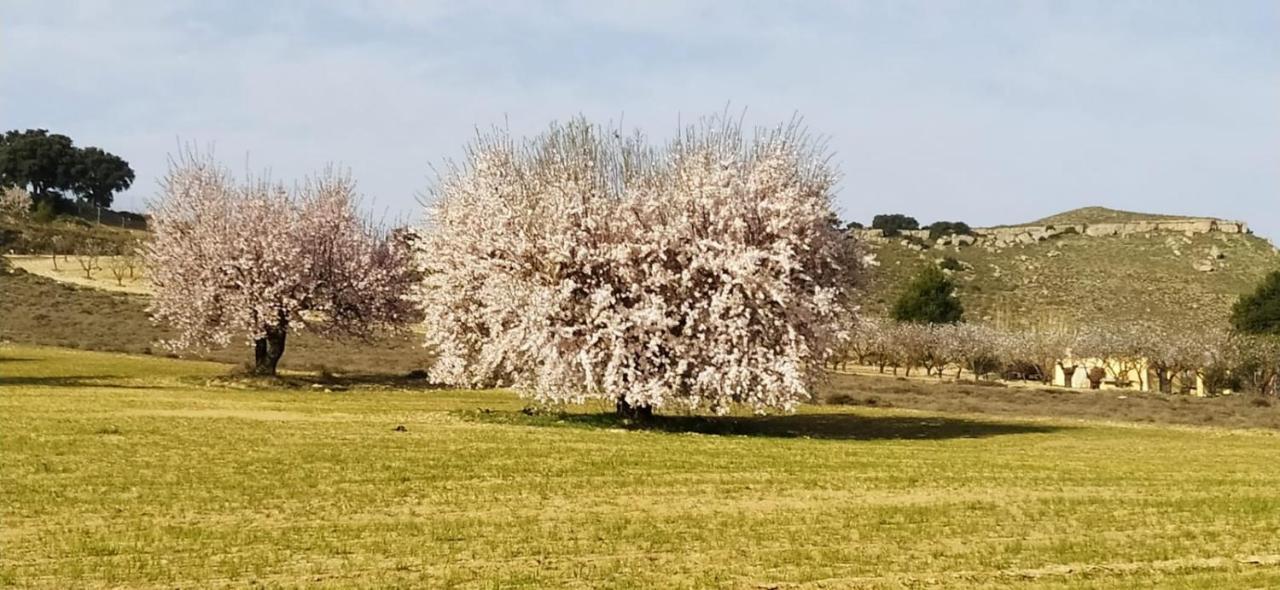 Casa Rural La Galana Albacete Chinchilla de Monte Aragón Eksteriør billede